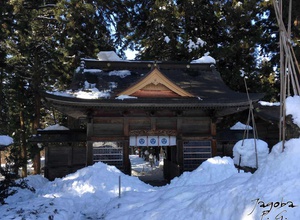 Aoshi Shrine @ Nagaoka