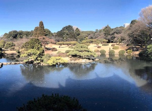 Shinjuku Gyoen National Garden @ Tokyo